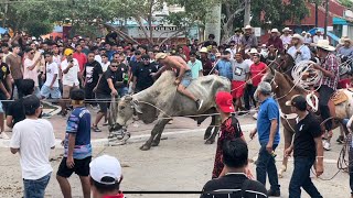 Toros en Tlacotalpan San Mike 2024 [upl. by Anicnarf]