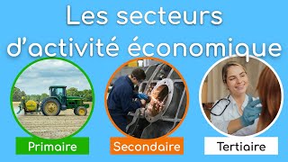 Les secteurs dactivité économique [upl. by Hessney454]