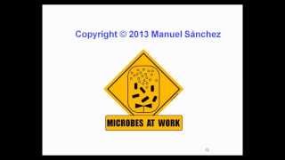 umh1399 Lec0014b quotScreeningquot de cepas de interés industrial [upl. by Aicener]