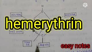 Hemerythrin Bioinorganic chemistry MSc chemistry notes  hand made notes [upl. by Cappello]