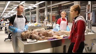 Plastinarium  KÖRPERWELTEN mit Livepräparation und Lernwerkstatt [upl. by Laro]