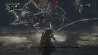 Bloodborne  Chalice Dungeon Walkthrough  Defiled Chalice [upl. by Ecarret]