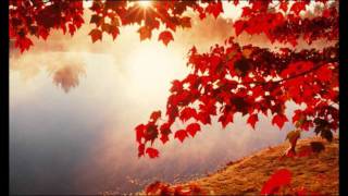 101 STRINGS ORCHESTRA  AUTUMN LEAVES [upl. by Halil]