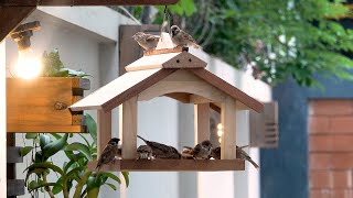 Easy DIY Wooden Bird Feeder [upl. by Attenohs50]