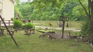 Tippecanoe River floods neighborhood [upl. by Peppie]