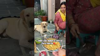 Simba bhi Khayega Aloo Paratha😍❤️ vlog doglover pets minivlog ytshorts dogshorts [upl. by Reta]