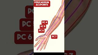 The Pericardium Meridian Acupuncture Points acupuncture [upl. by Laurella956]