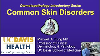 DERMATOPATHOLOGY Common Skin Disorders [upl. by Haase719]