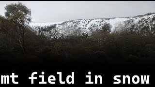 Exploring Tasmanias Incredible Mt Field National Park [upl. by Hough]