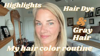 How I blend old highights with gray hair  My Hair Color Routine 2024 [upl. by Corron]