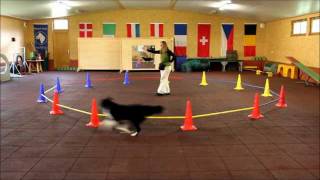 Demo  Longierzirkeltraining mit Hund  von Anja Jakob wwwclickntrickde und wwwanjajakobcom [upl. by Pomfrey]