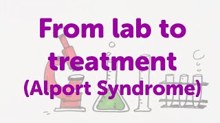 Minute Lecture From lab to treatment Alport Syndrome [upl. by Molton]