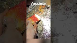 100ft underground Digging for beautiful Vanadinite crystals in Arizona [upl. by Stew268]