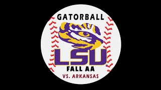 GATORBALL 2024 FALL AA LSU VS ARKANSAS [upl. by Digdirb]