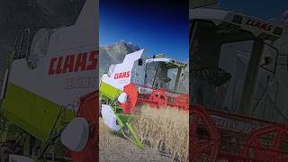 Diese wunderschöne Aussicht Landwirtschaft Unterhaltung LS22 Claas Lexion Mähdrescher [upl. by Htidirrem]