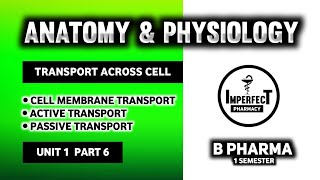 Transport Across Cell Membrane  Active Transport  Passive Transport  human Anatomy And Physiology [upl. by Dalury650]