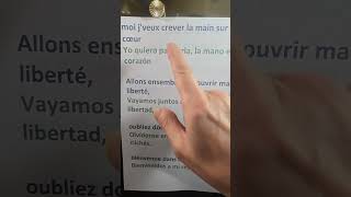 Fonemas e idiomas FR 652 Zaz je veux [upl. by Irod]