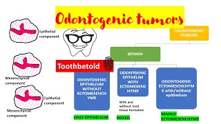 Odontogenic tumors  Overview  Classification [upl. by Inahet]