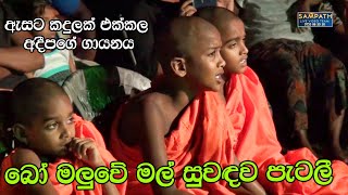 Bo Maluwe Mal  Adeepa with Sahara Flash  Best Sinhala Songs  SAMPATH LIVE VIDEOS [upl. by Pliam]