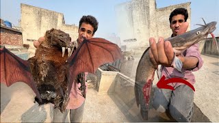 Bats Ka Trap Fail Ho Gya [upl. by Airual]