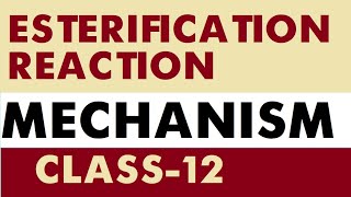 ESTERIFICATION REACTION  MECHANISM  Class 12  Carbonyl Compounds and Carboxylic Acids  PART3 3 [upl. by Enirehtakyram661]