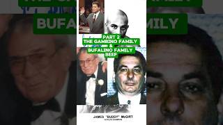 Bufalino Family amp Gambino Family Dispute Pt 2 [upl. by Lesley]