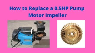 How to change an impeller 05HP Motor [upl. by Wiskind]