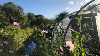 October allotment tour [upl. by Idram]