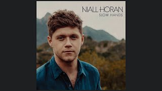 Niall Horan  Slow Hands Official Instrumental [upl. by Gleich]