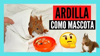 El baile del Toto con Alvin amp las Ardillas  Parodia Animada [upl. by Namqul752]