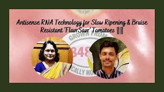 Antisense RNA Technology for Slow Ripening amp Bruise Resistant ‘FlavrSavr’ Tomatoes 🍅🧬 [upl. by Loggins]