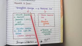 Creutzfeldt Jacob Disease or Prion disease  Morphology [upl. by Aleibarg256]