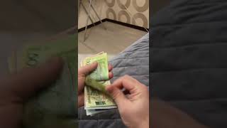 French Bulldog Rocky Helps Count Money in the Cutest Way [upl. by Arehahs]