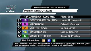 CARRERAS HIPODROMO MARONAS  1732024 VIVO [upl. by Neersin]