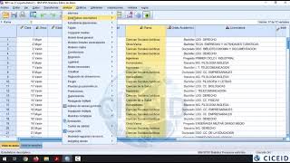 4 SPSS Tablas de frecuencia para variables nominales y ordinales [upl. by Llennod]