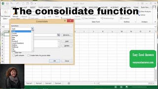 How to use the consolidate function in Excel [upl. by Iow684]