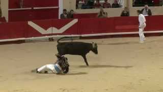 Course landaise  Alès Feria de lAscension 2012 [upl. by Ainoek69]