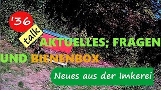 Zwischenbericht Bienen im September Bienenbox und Eure Fragen  Neues aus der Imkerei 36 [upl. by Crabb]