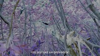 José González  Open Book Lyric Video [upl. by Angelico]