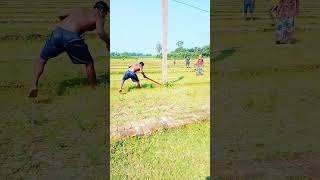 অল্পের জন্ন্যে রক্ষা ভাই।viralvideo comedyvideos comedy funnyshorts excavator tranding [upl. by Twyla]