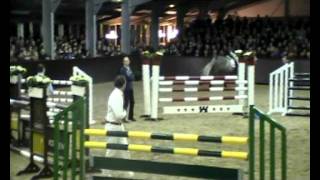 Cedric goedgekeurde KWPN hengst Hengstenshow Reinie Tewis 2012 [upl. by Ecirtaemed]