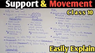 Support And Movement  Exoskeleton  Role Of Skeleton  Class 10 Biology [upl. by Arela553]