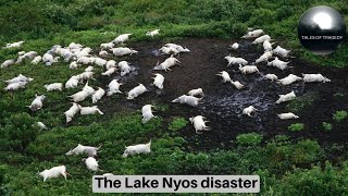 The Lake Nyos disaster [upl. by Ivetts]