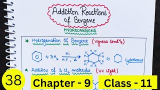 Addition Reactions of Benzene  Hydrocarbons  Class 11 [upl. by Rutra]