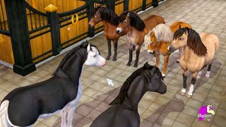 Buying All the New Gotland Ponies Star Stable Online Update Video [upl. by Yand]