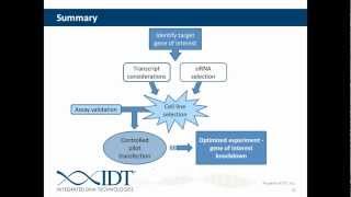 Planning and Executing In Vivo siRNA Experiments [upl. by Collen]