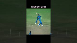 King goat shot make shorts cricket [upl. by Nylatsirk]