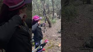 3D Archery fun bowandarrow archerygirl socialmedia fieldarchery viralvideo youtubeshorts [upl. by Eelreveb]