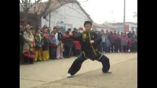 Shaolin Luohan 13 Postures Rou Quan 少林 柔拳 [upl. by Nary]