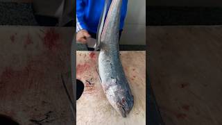 EXPERT SKILLS DOLPHIN FISH  MAHI MAHI [upl. by Suisyola]